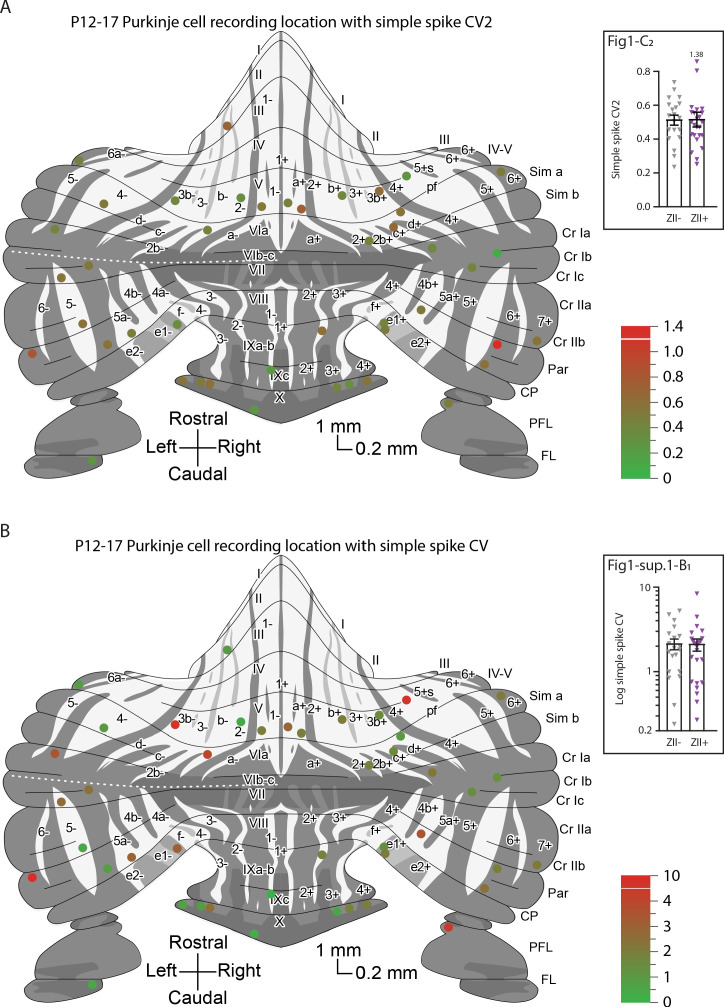 Figure 1—figure supplement 5.