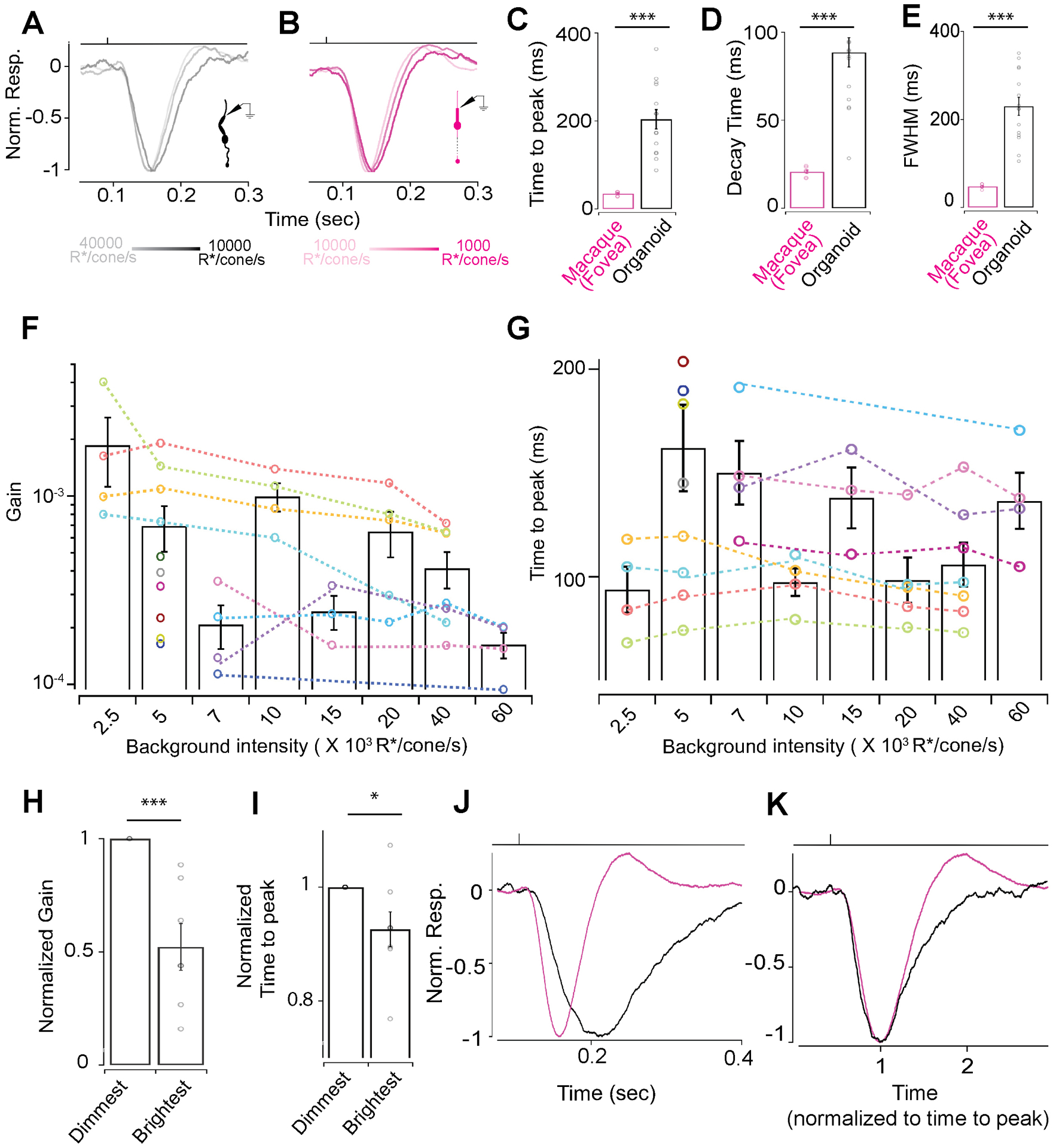 Figure 2: