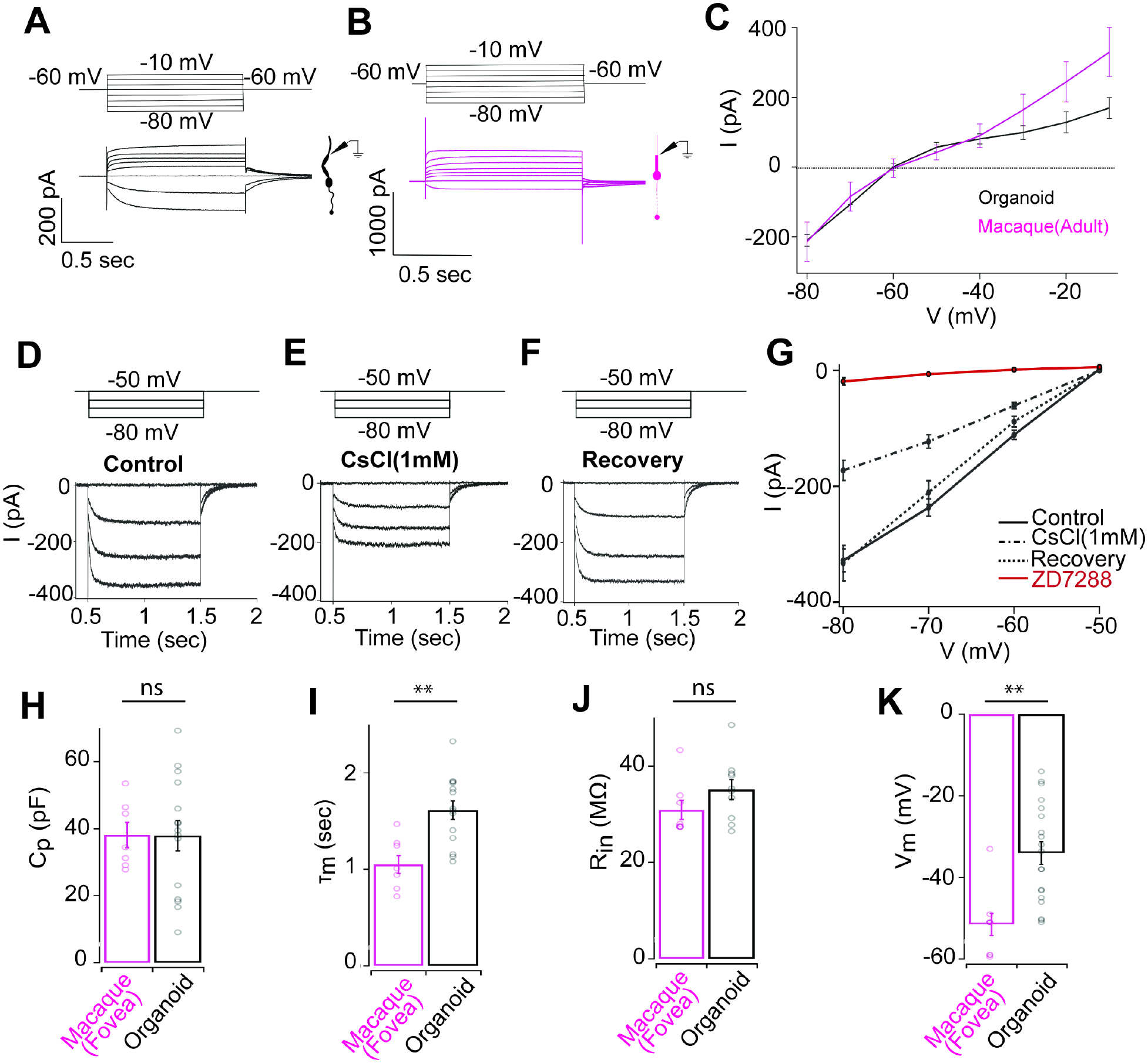 Figure 3: