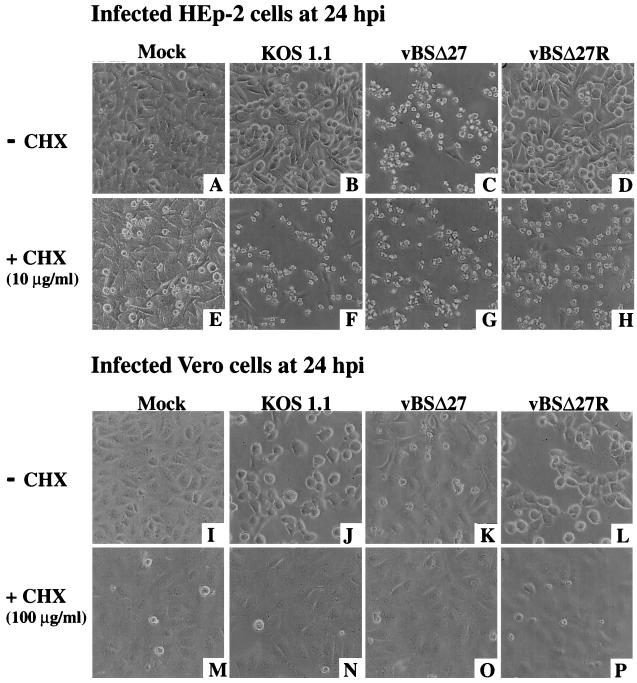 FIG. 7