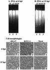 FIG. 8