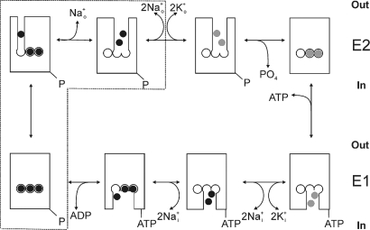 Fig. 1.