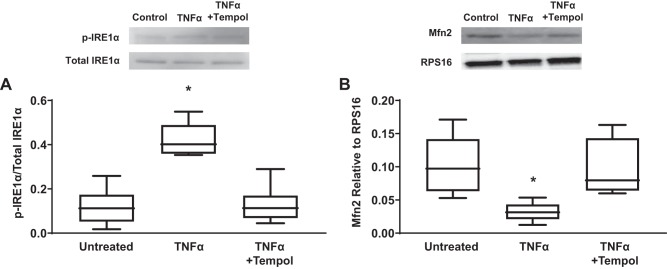 Fig. 11.