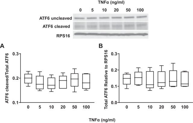 Fig. 8.