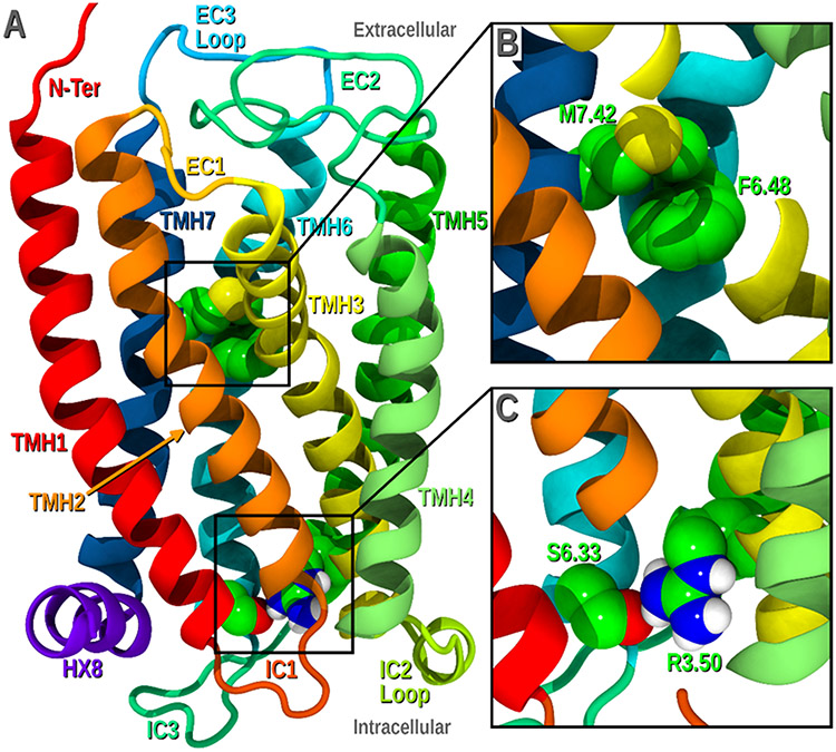 Figure 7.