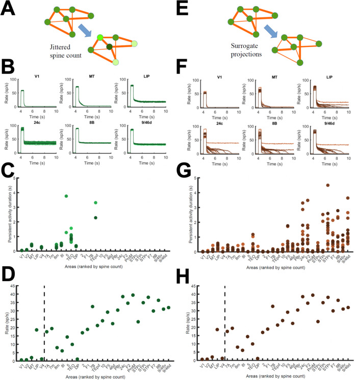 Figure 4—figure supplement 2.