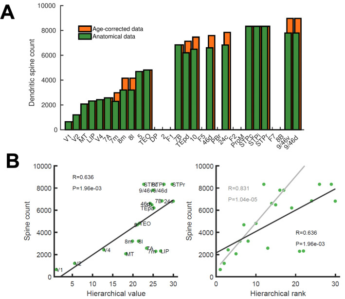 Figure 1—figure supplement 2.