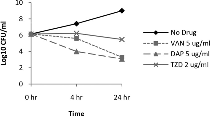 FIG 1