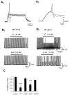Fig. 10.