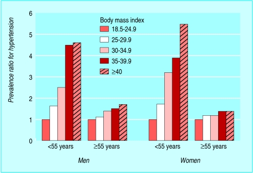 graphic file with name obese07.f4.jpg