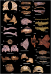 Fig 15