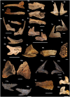 Fig 14