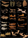 Fig 13