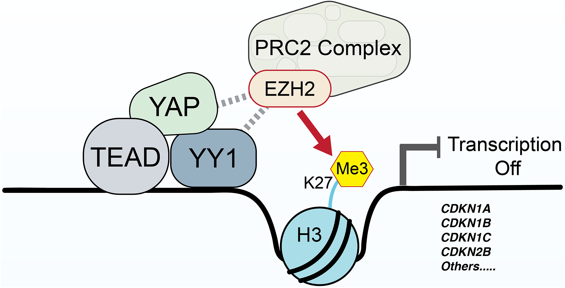 Figure 6.