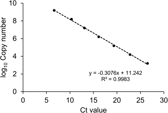 Figure 4