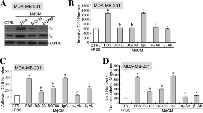 FIGURE 12.