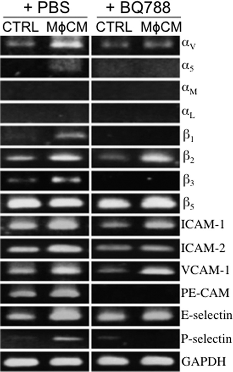 FIGURE 9.