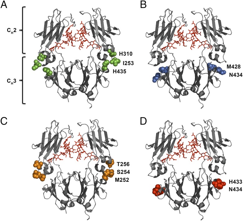 FIGURE 1.