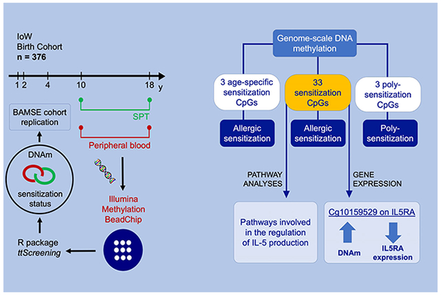 graphic file with name nihms-1033199-f0002.jpg