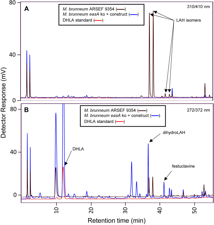 FIG 6