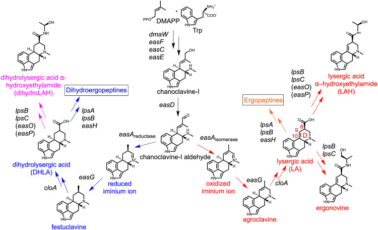 FIG 1