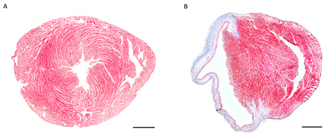 Figure 3: