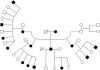 Figure  1