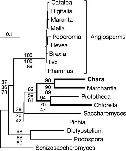 Figure 6.