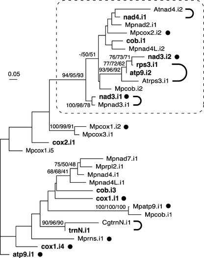 Figure 7.