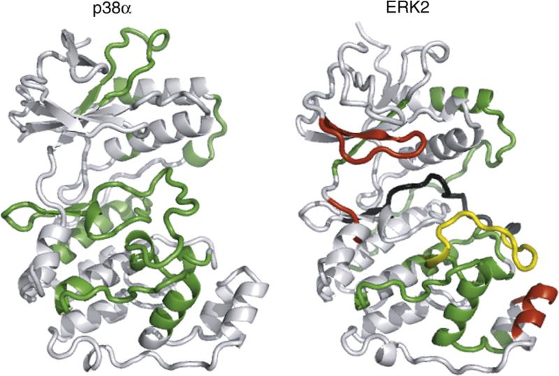 Fig. 11