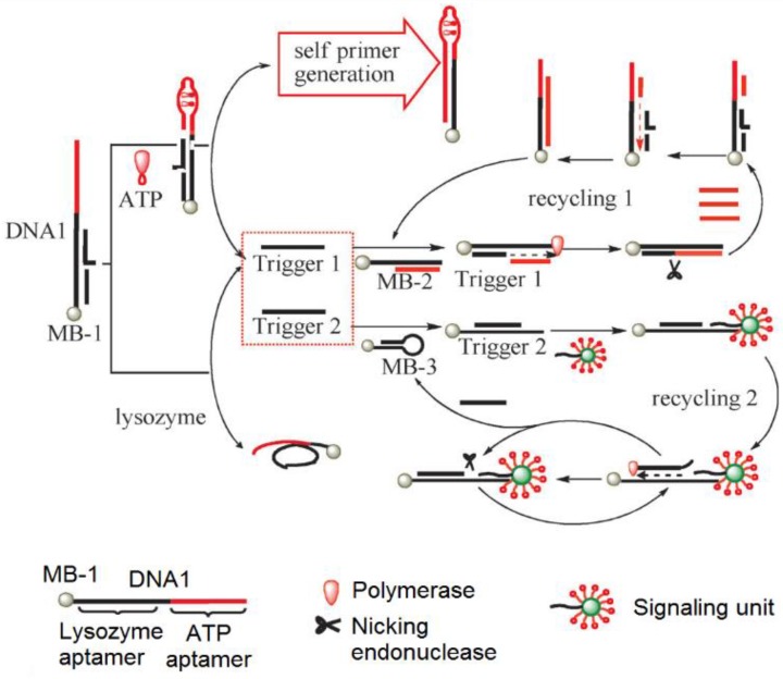 Figure 11