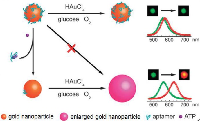 Figure 10