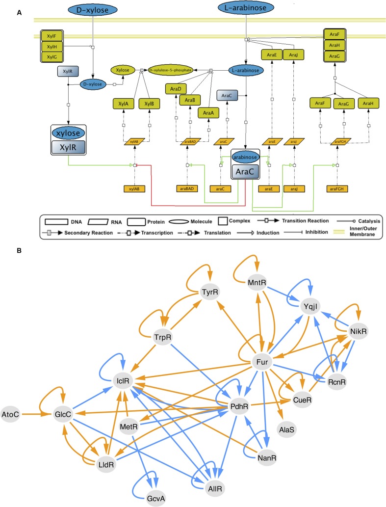 FIGURE 4