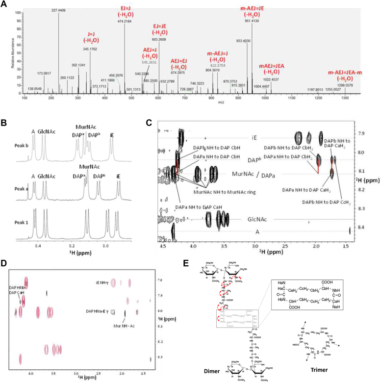 Figure 2