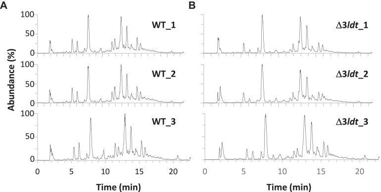 Figure 5