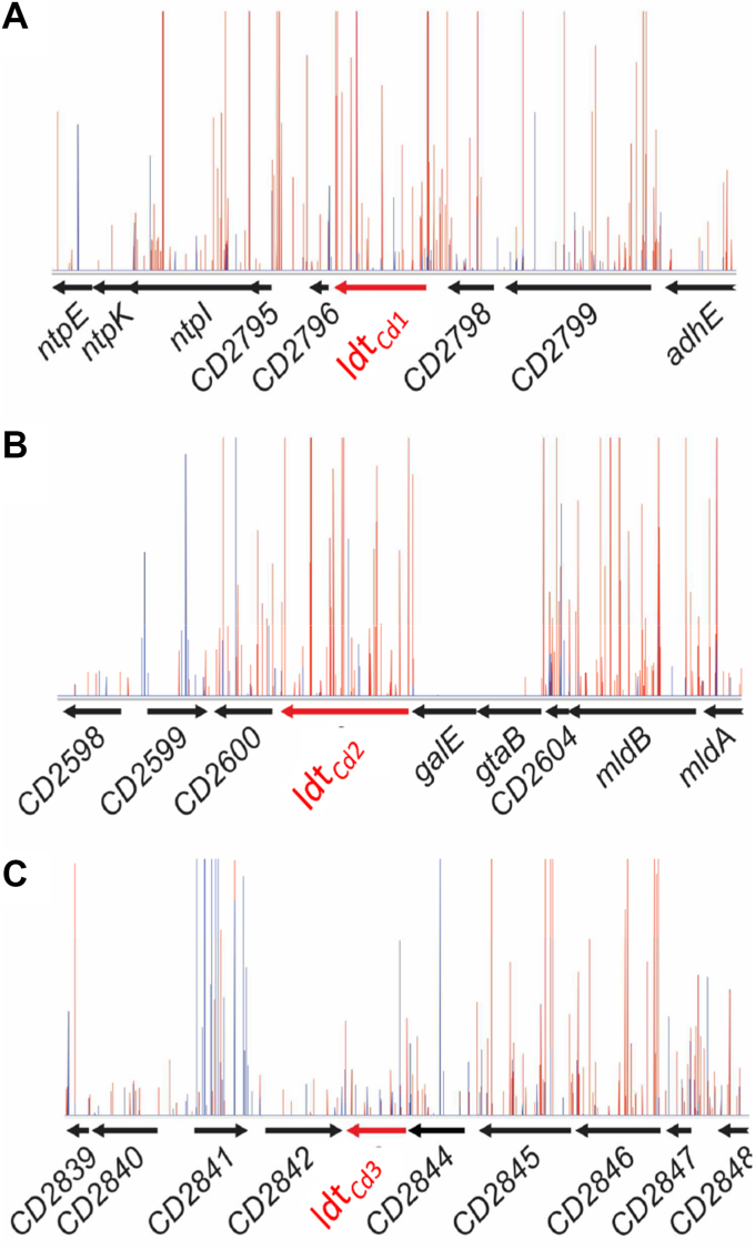 Figure 4