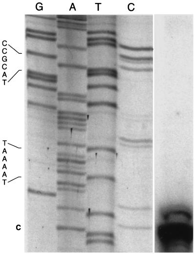 FIG. 7.