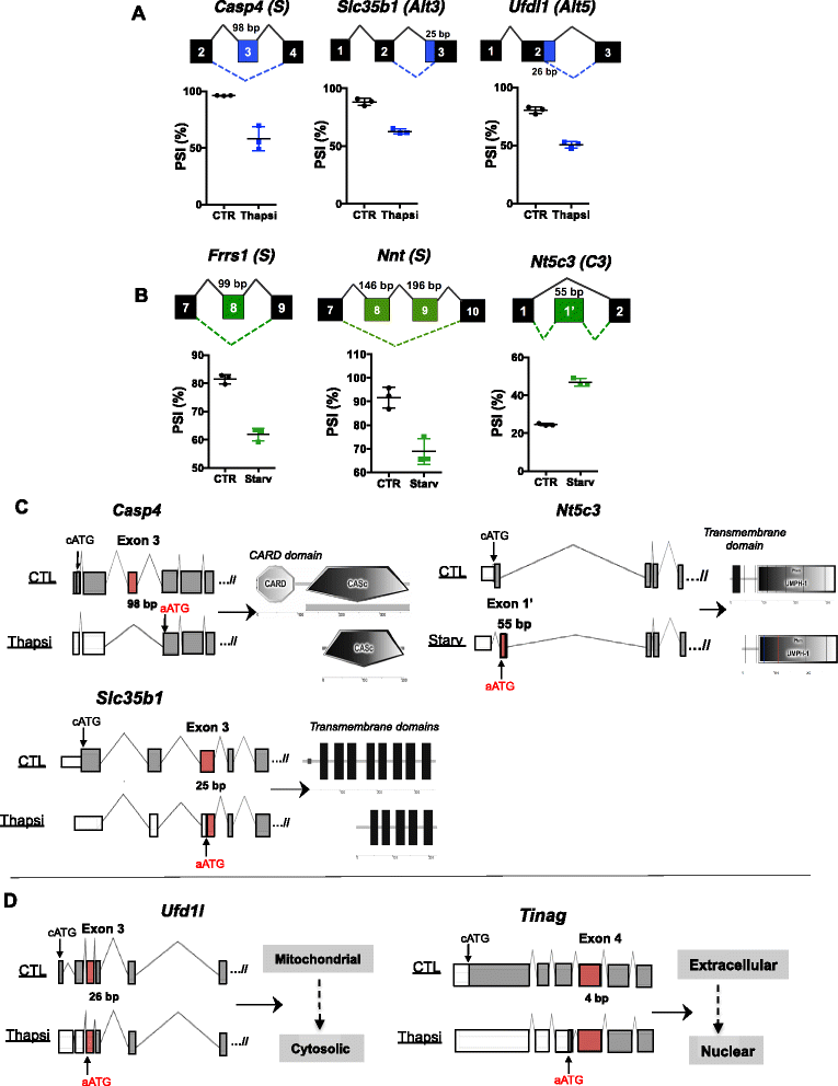 Fig. 8