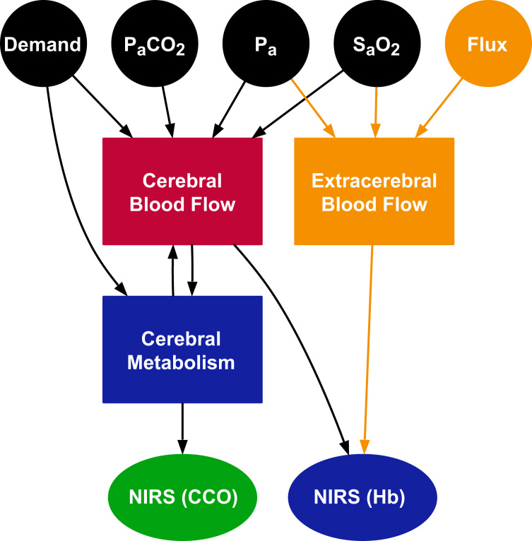 Fig. 1