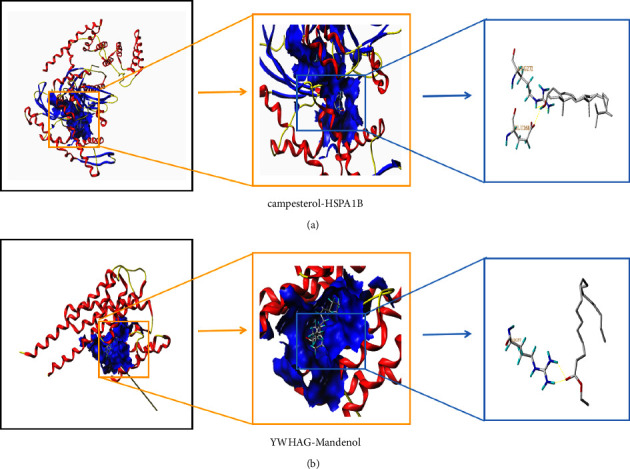 Figure 6