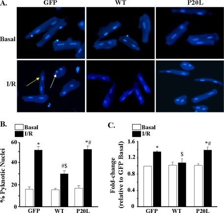 FIGURE 4.