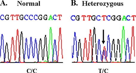 FIGURE 1.