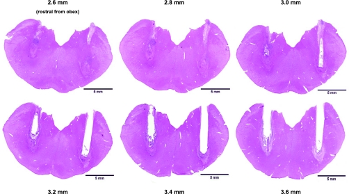 Fig. 12.