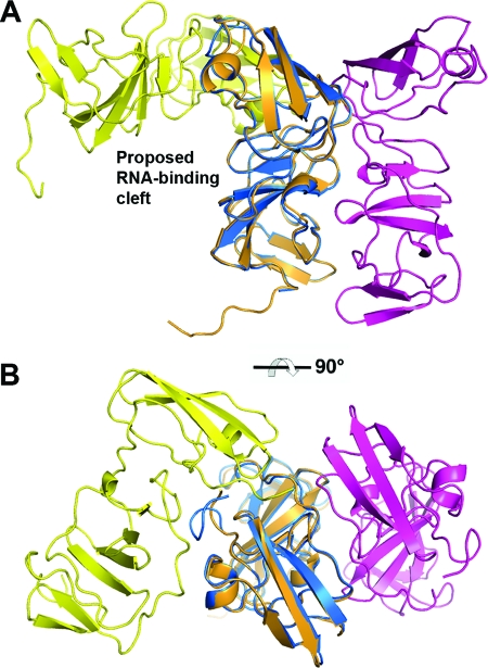 FIG. 2.