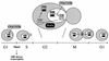 FIG. 11.