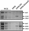 FIG. 6.