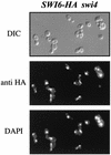 FIG. 10.