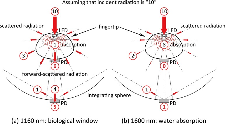 Fig 8