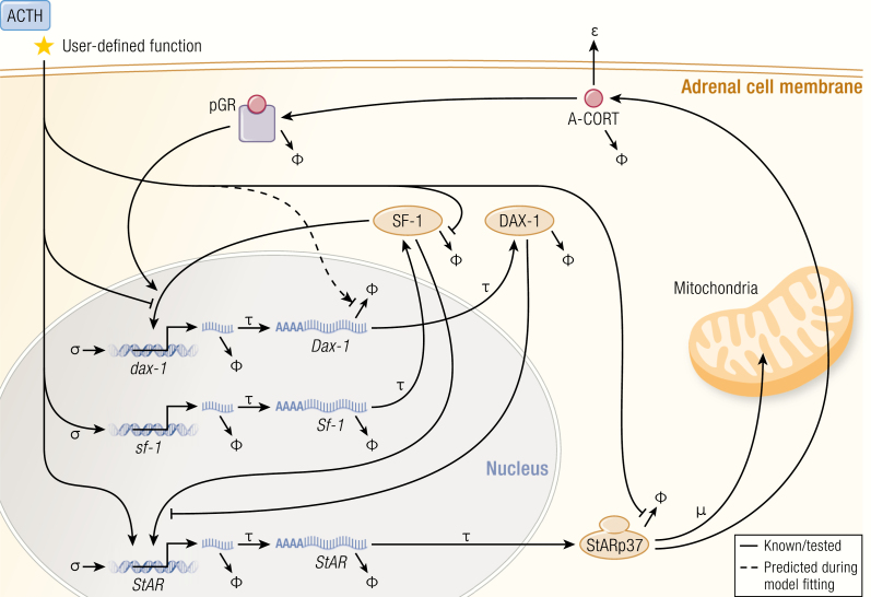 Figure 3.