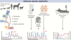 Graphical Abstract